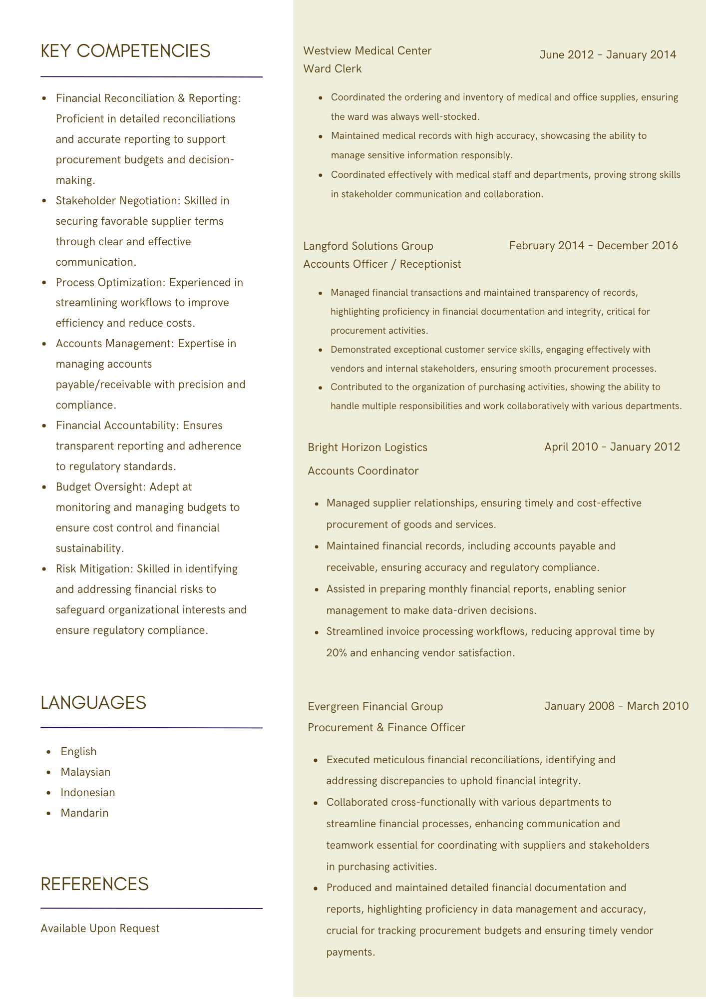 Resume showcasing key competencies, work experience, and language proficiency in financial roles across multiple organizations.