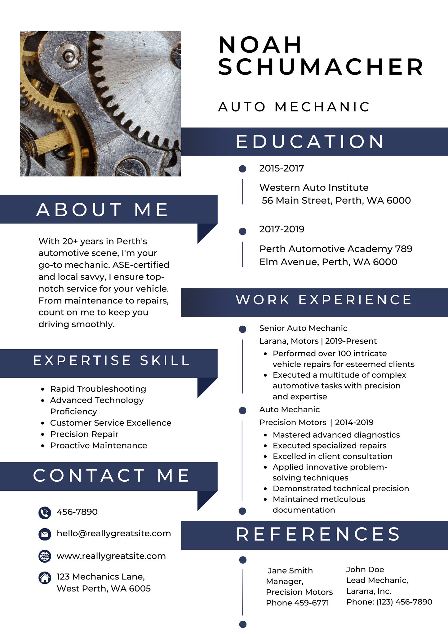 Professional Resume