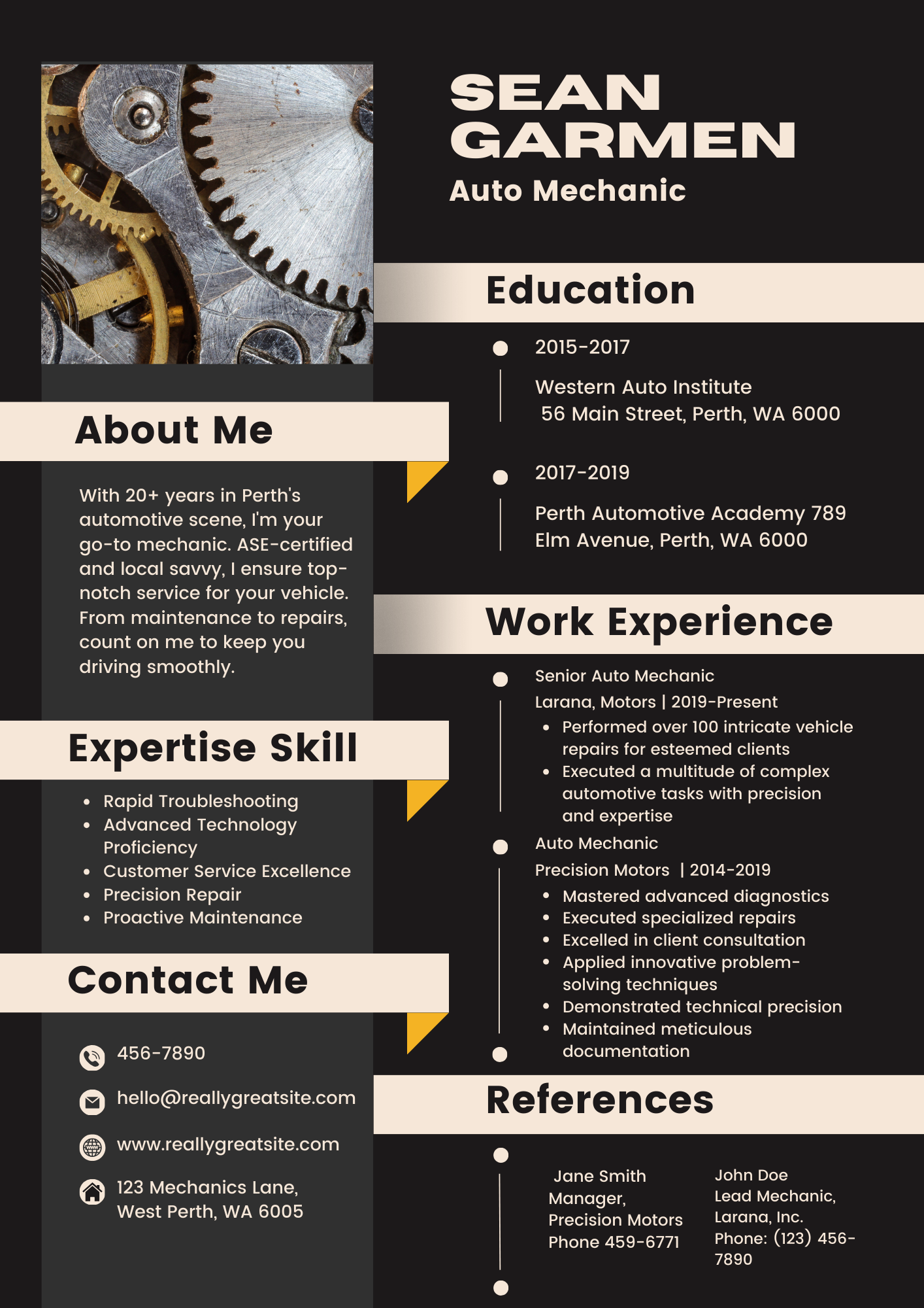 Professional Resume